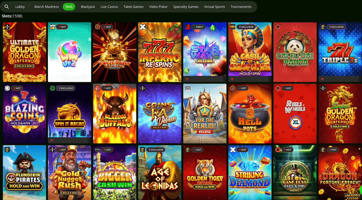 wild casino slots