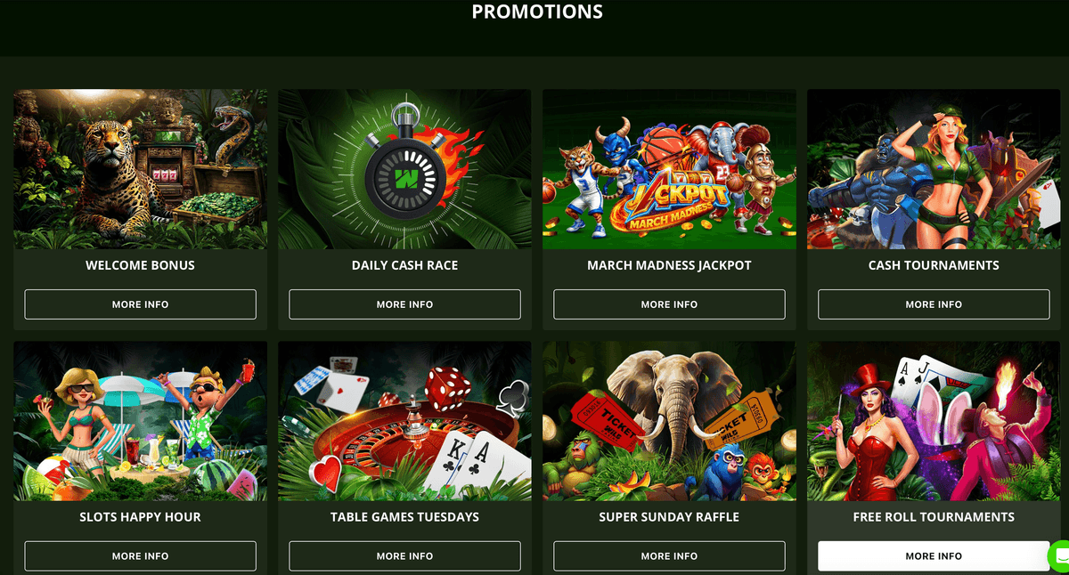 wild casino bonuses