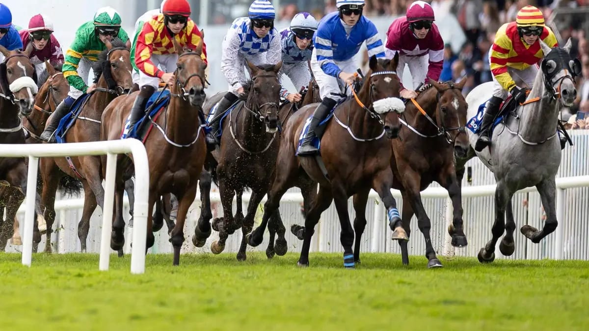 Horses racing at Galway Racecourse