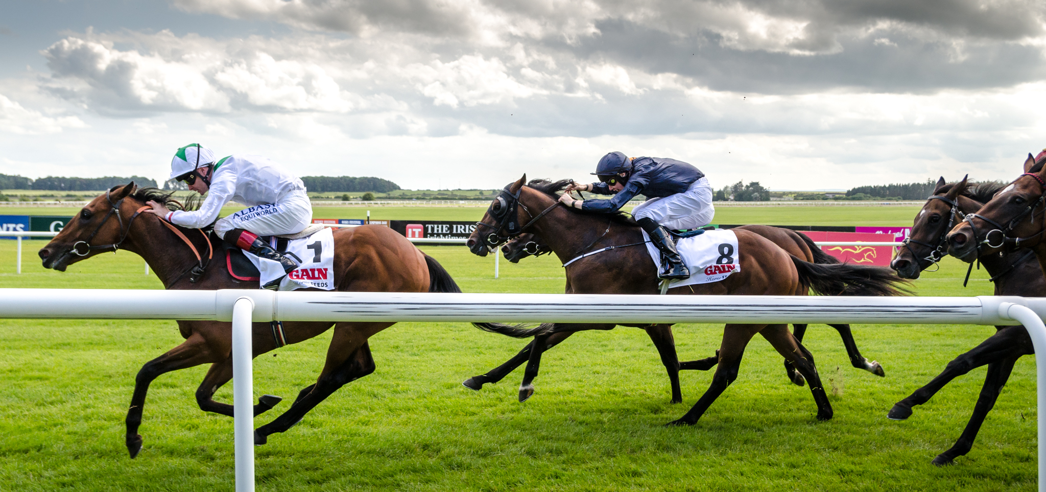 Horse Racing Ireland September 2026 Fixtures