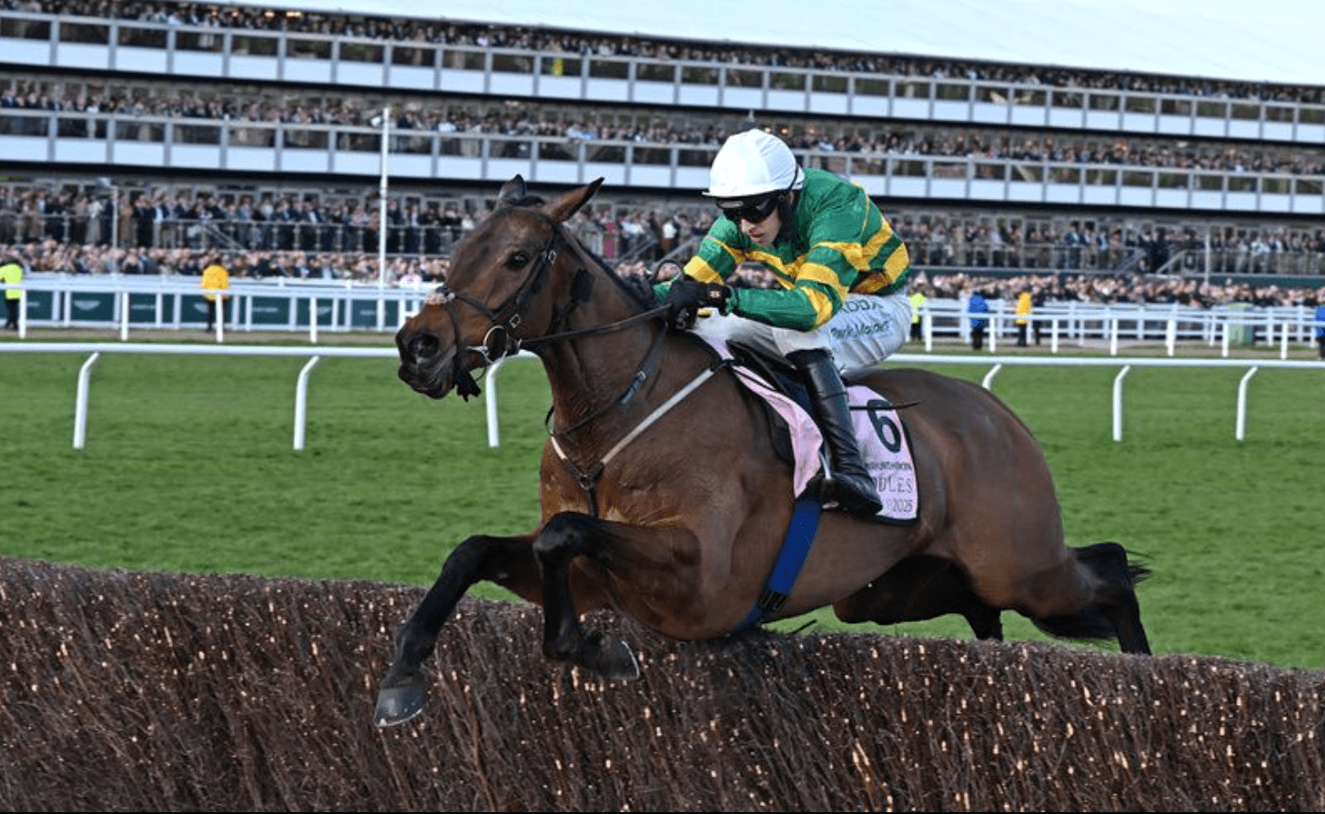 A JP McManus-owned runner in green and gold hoops jumping a fence