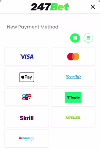 246bet deposit methods