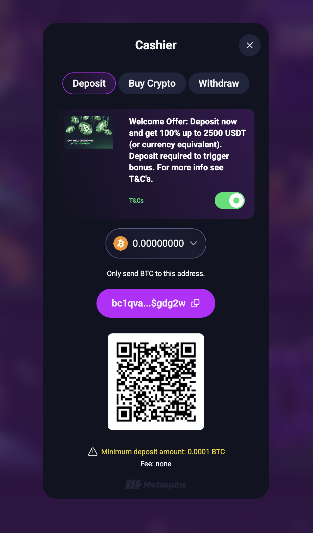 Metaspins Cashier BTC deposit with Welcome Offer 100 percent up to 2500 USDT