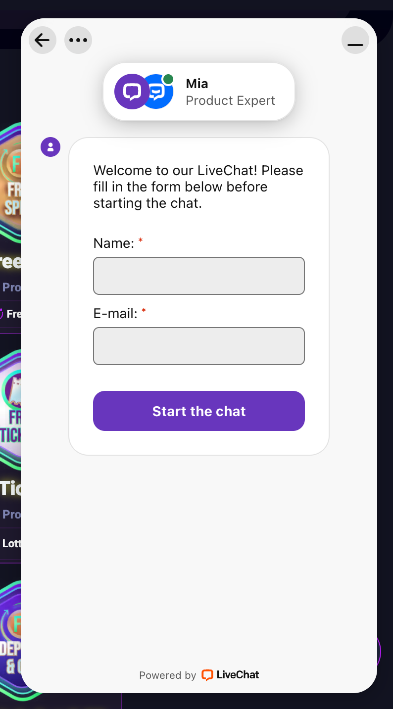 Metaspins chat support