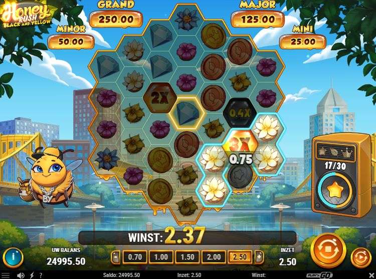 Honey Rush Black and Yellow slot