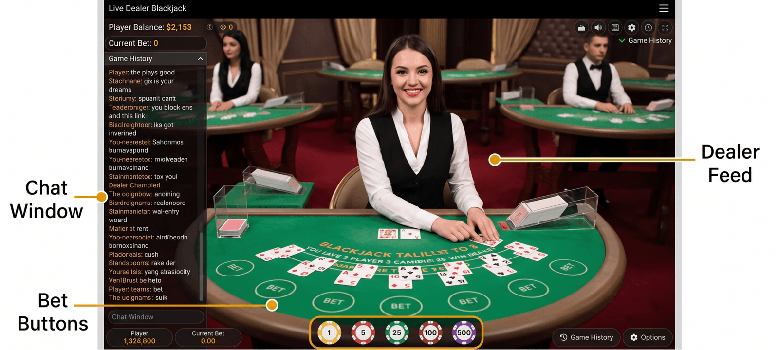 Live casino game interface dealer chat buttons