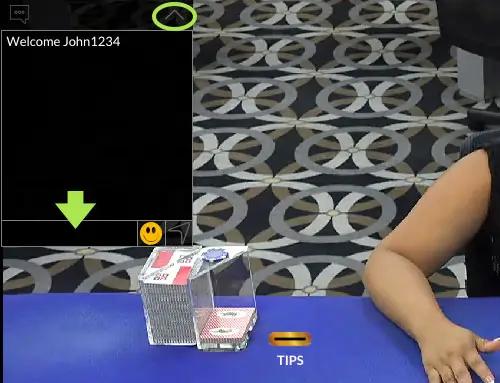 Live dealer chat window used to interact with the croupier during a game