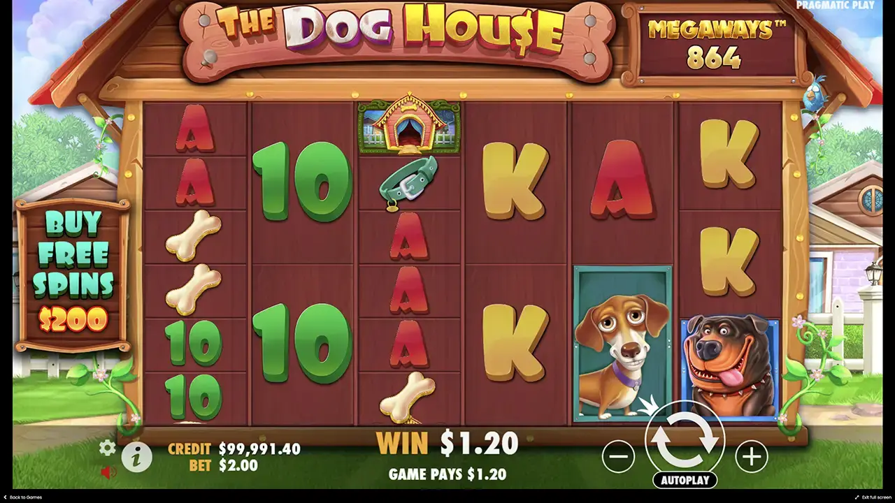 The Dog House Megaways