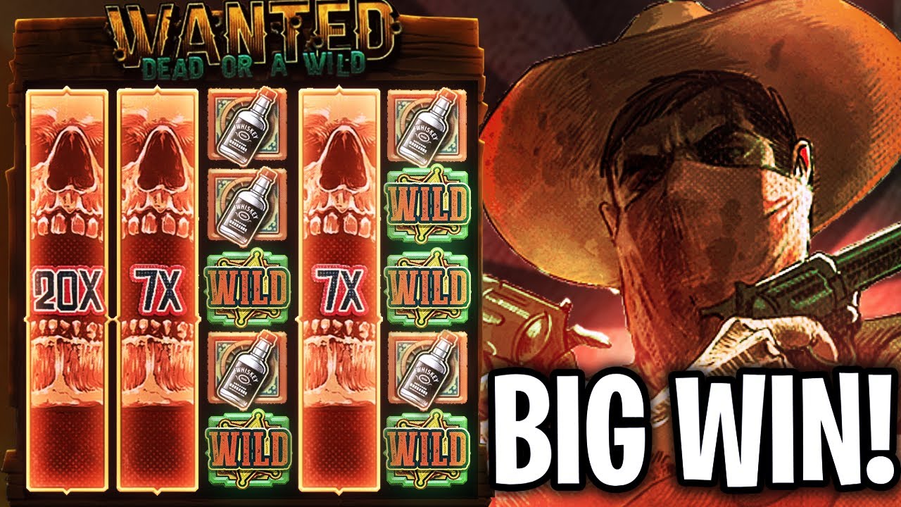 Wanted Dead or a Wild
